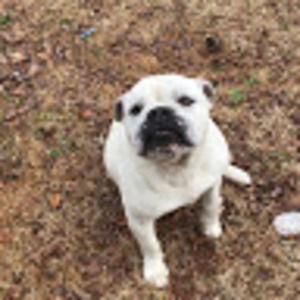 Meet your Posher, Connie ann